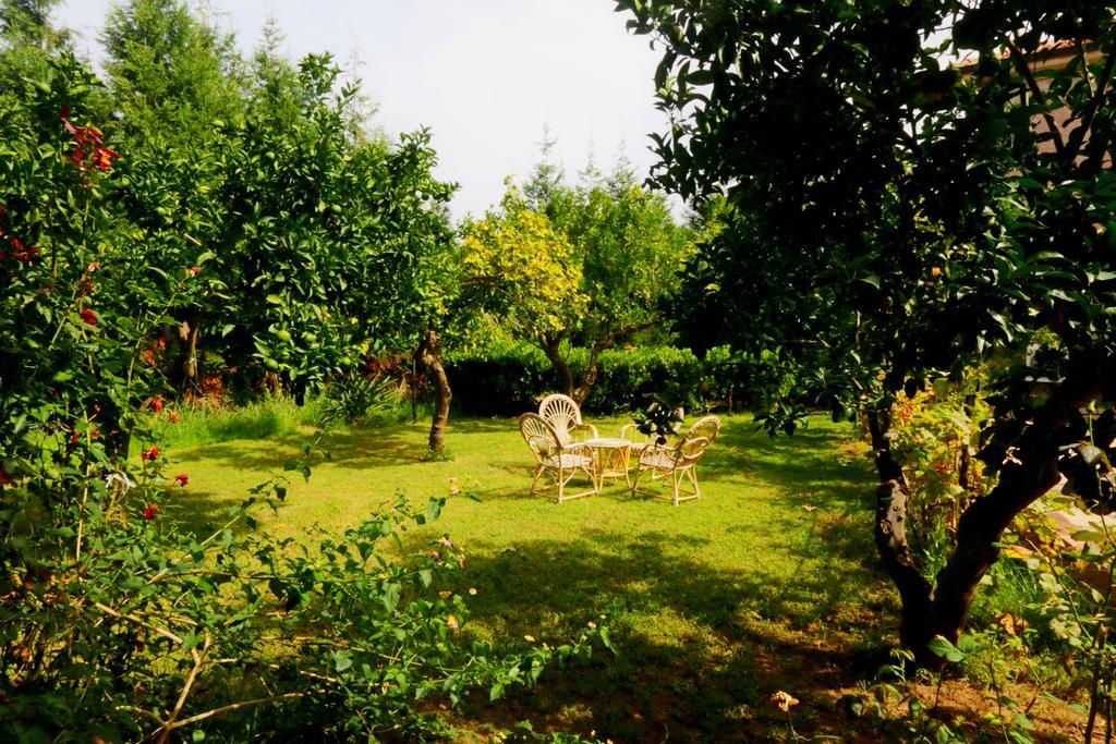 Residenza La Vigna Aparthotel Parghelia Exterior foto