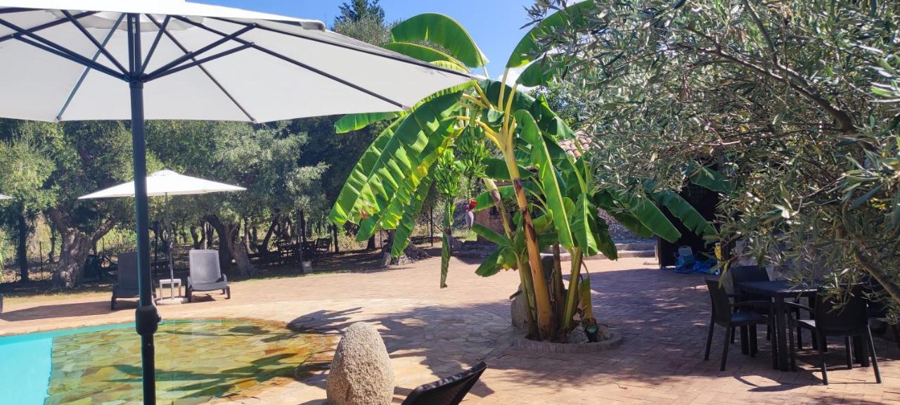 Residenza La Vigna Aparthotel Parghelia Exterior foto