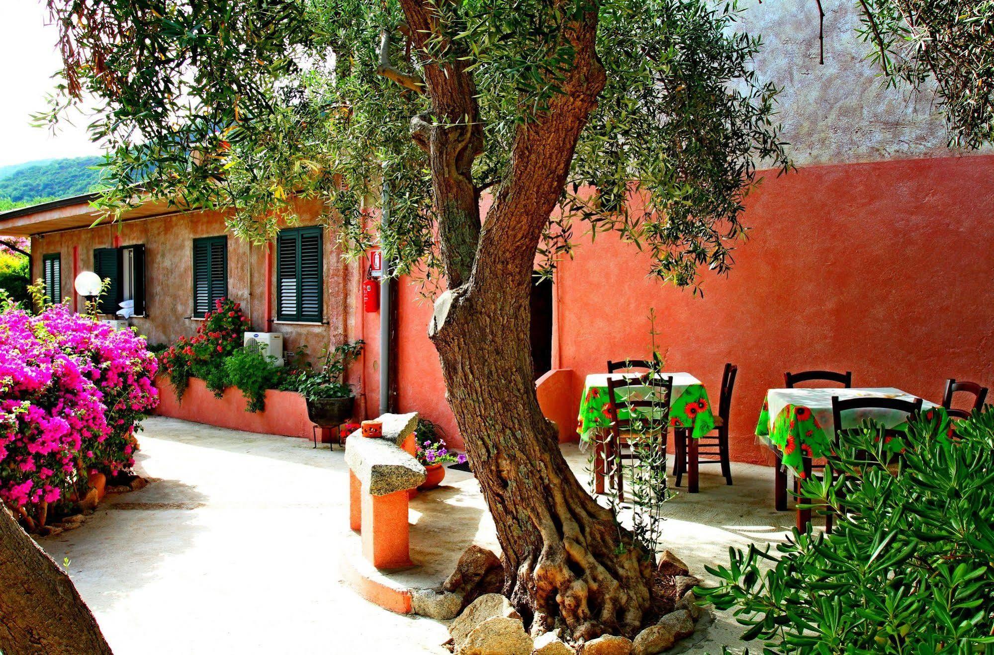 Residenza La Vigna Aparthotel Parghelia Exterior foto